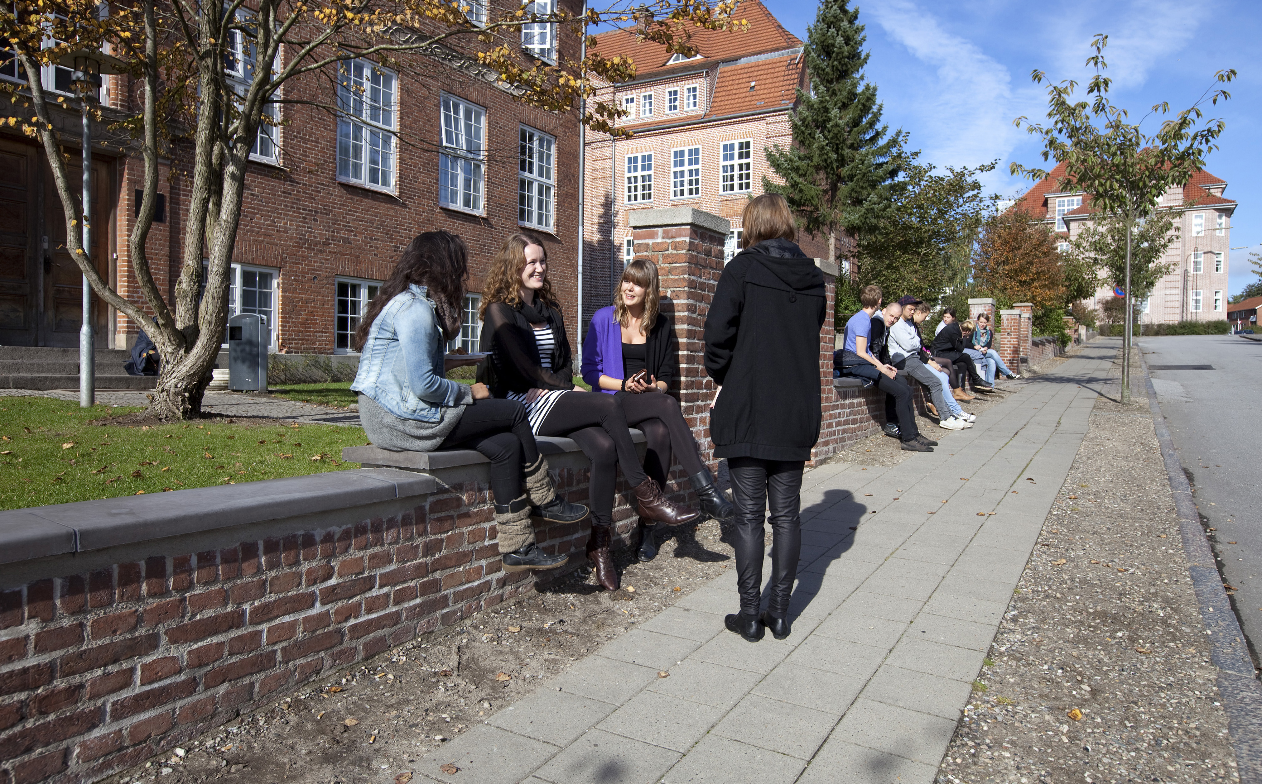 Professionsbachelor i skat på Professionshøjskolen UC SYD