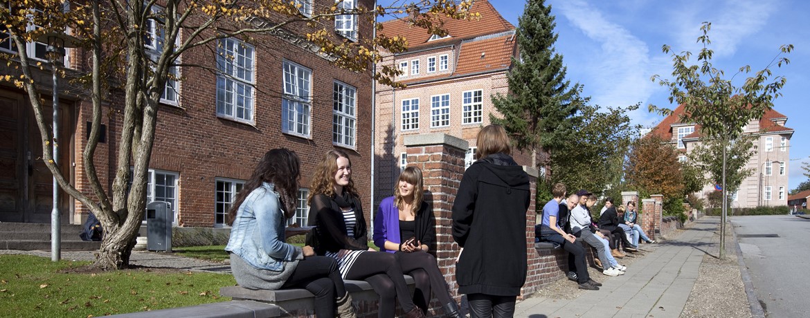 Professionsbachelor i skat på Professionshøjskolen UC SYD