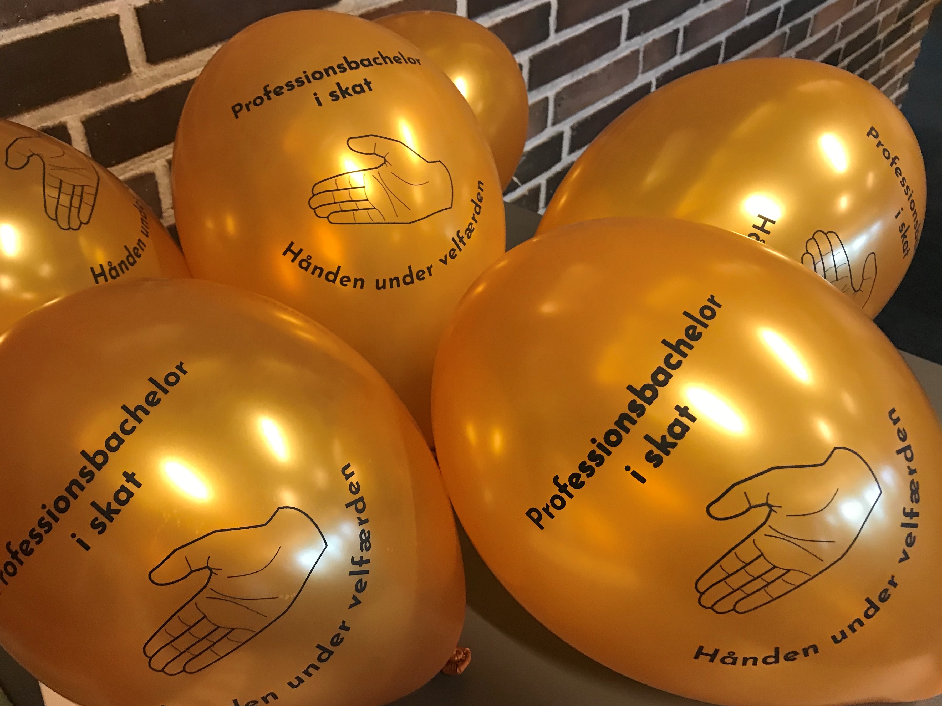 Studerende og dimittender fra professionsbachelor i skat