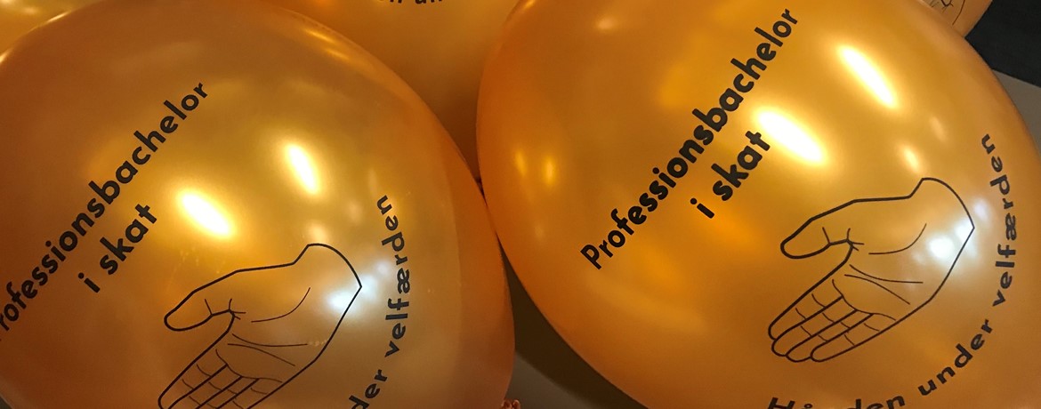 Studerende og dimittender fra professionsbachelor i skat